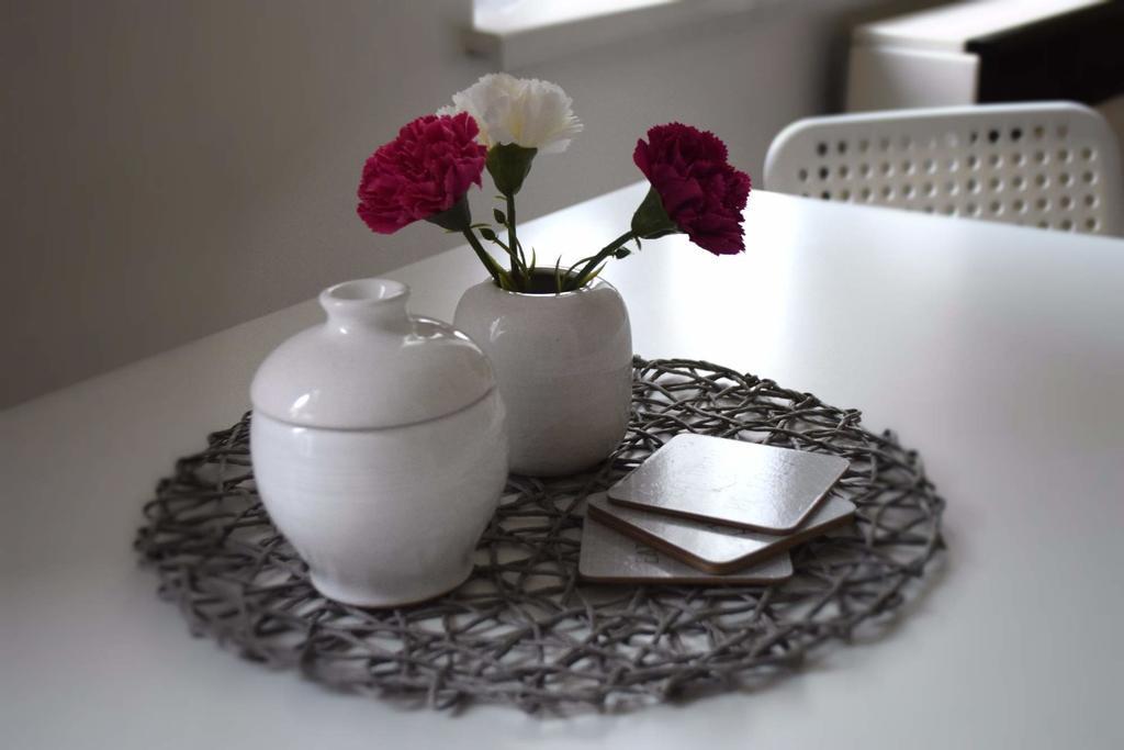 Apartment Olomouc Centre Dış mekan fotoğraf